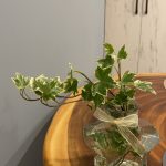 生日大拼盤～A餐：北投阿馬非coffee/硫磺谷泡腳。B餐：淡水雲門星巴克/奇岩站張吳記什錦麵。C餐：竹子湖繡球花/青菜園/馬槽花藝村溫泉。D餐：家中聚餐（一人一道菜）